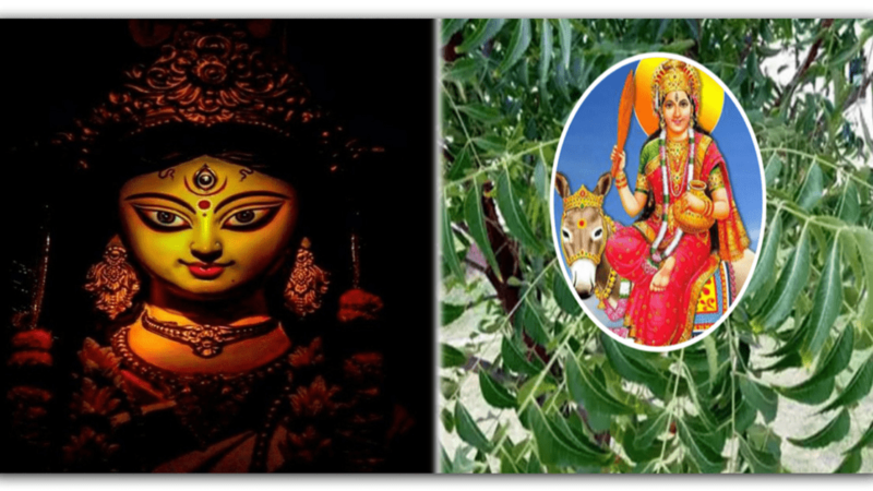 Chaitra Month 2024 : चैत्र माह में नीम के उपाय करने से मिलता है इन दो देवियों का आशीर्वाद, बनी रहती है सुख-समृद्धि….